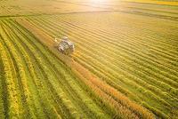 中央发文做好三农工作:确保2020年农村人居环境改善