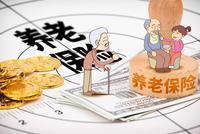 全国政协委员李香菊：建议降低养老保险缴费率