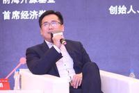 杨德龙：A股未来的黄金10年是白马股的黄金10年