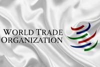 中国提交WTO改革建议：共12条 涉4个行动领域(全文)