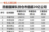 国家队中报持仓揭晓：28股持仓超20亿 8公司持仓减少