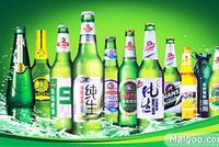 啤酒喝嗨了：青岛、惠泉、燕京连涨4日 这些公司三季报有看头
