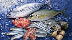 中国水产品流通与加工协会澄清淡水三文鱼三大误解