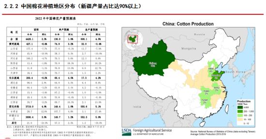 中信期货吴静雯：全球棉花种植情况介绍