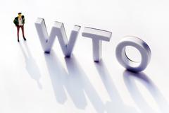 张月姣：WTO上诉机构面临停摆 国际法面临挑战