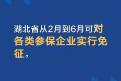 国务院大招对冲疫情：中小微企业三项社保免征5个月