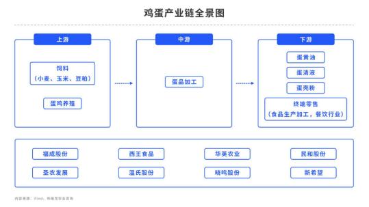 鸡蛋：现货涨至历史高位！还能再升么？