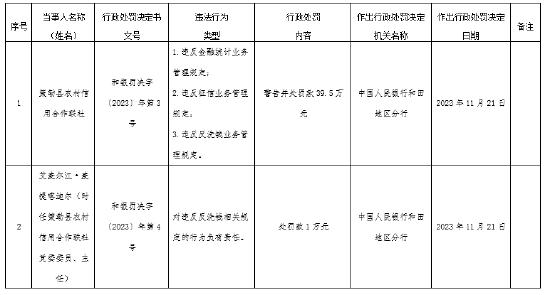 因违反金融统计业务管理规定等 策勒县农村信用合作联社被罚39.5万元