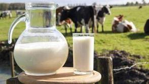 上市乳企热榜：伊利第1现代牧业第6