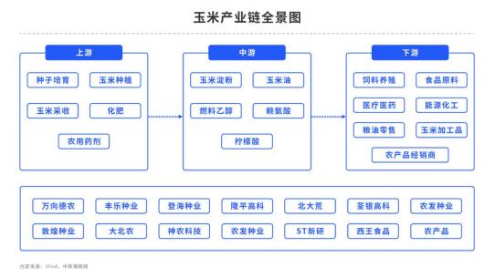 【中粮视点】玉米：国外报告利空 国内政策增储