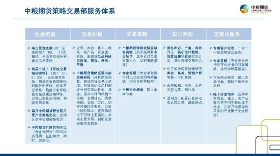 中粮期货：PTA延续上涨走势 暂不考虑做空