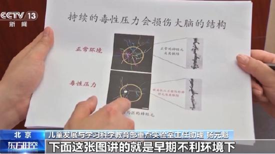 穿行在农村大山间 他们为山里娃送上“科学早教”