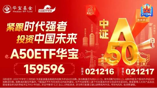 中报业绩预喜，北方华创大涨超3%！地产、银行龙头股携手走强，A50ETF华宝（159596）逆市飘红