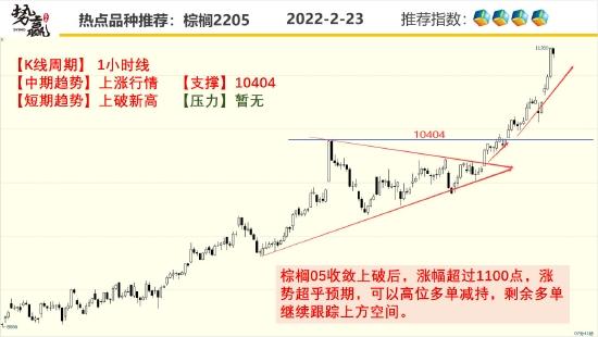 势赢交易2月24日热点品种技术分析