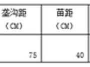 大商所春季考察西线第二天：大豆种植面积下降概率大