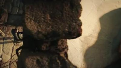 马云王菲合唱《功守道》