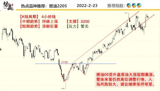 势赢交易2月24日热点品种技术分析