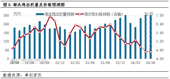 卓创资讯：供强需弱，二季度淘汰鸡价格重心将持续下探