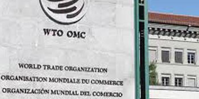 WTO:贸易紧张局势正开始影响全球经济