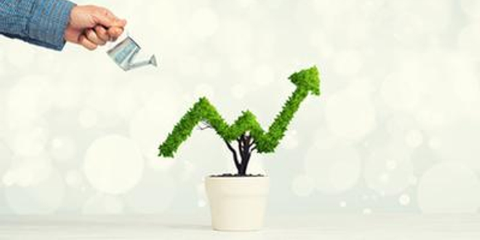 花旗:信德集团目标价降至4元 维持买入评级