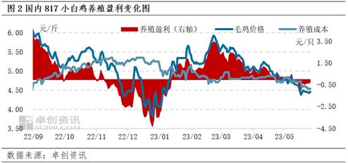 卓创资讯：5月817小白鸡养殖出现亏损 6月或好转