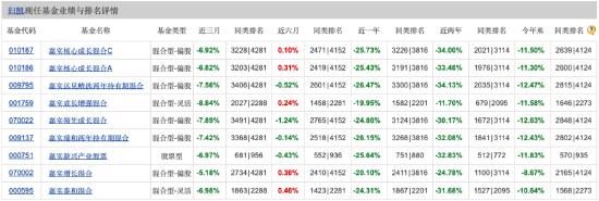 嘉实新兴产业股票近一年跌超25% 嘉实基金归凯“跌落神坛” 二季度新进重仓公牛集团