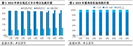 卓创资讯：三季度大、小码鸡蛋价差收窄，四季度供应面修复预期增强