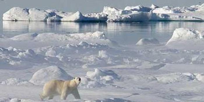 北极海冰消融为全球能源供应打开一条新航线