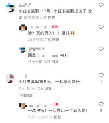 小红书再迎“离职潮”，618商业化不佳惹怒高管？｜BUG