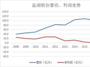 盐湖股份市值十年缩水420亿:六成尽去 *ST概率有多大