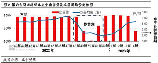 卓创资讯：春节后白羽肉鸡市场迎来“5连涨” 2月鸡价或存上行空间