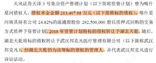 在天马股份的花园里面挖呀挖呀挖！非法占用33亿，血亏36亿：改名换面永不退市，只因对韭菜爱得深沉！