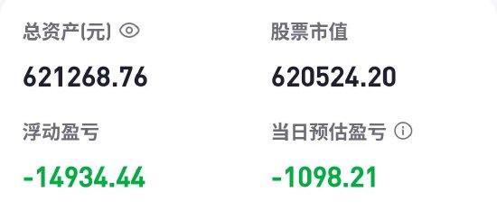 胡锡进：今天加仓了，追加股本资金的10%