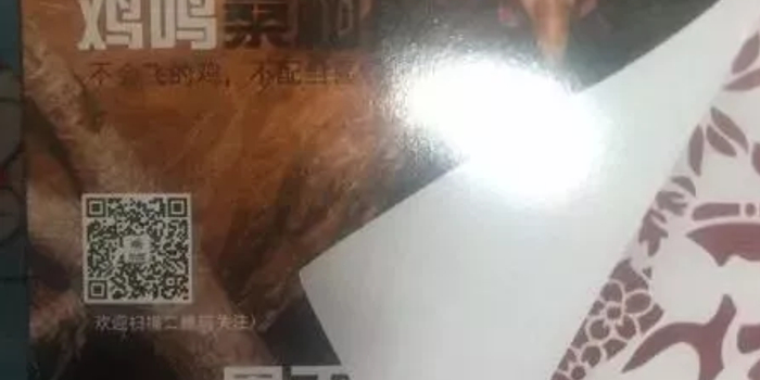 国元证券年终员工福利:金寨黑毛猪人手一份(图