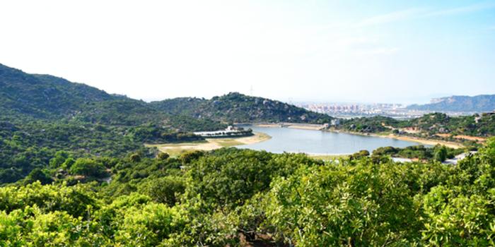 龙海市浮宫镇经济总量_龙海市颜厝镇巧山村