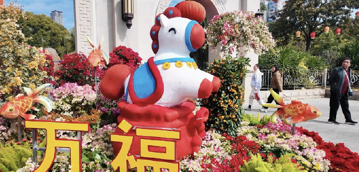 厦门马年藏马图鉴大公开