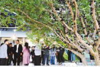 全国首个启动！湖里打造“ESG+文明”典范