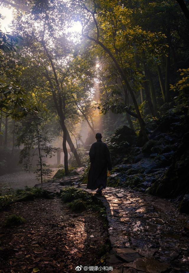 禅意摄影:江南古刹与僧人