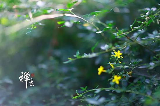 弘一大师禅诗:君子之交