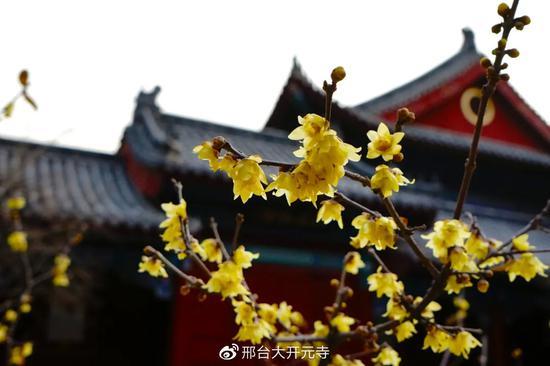 功夫不是一朝一夕能做成的,要靠长期的积累。