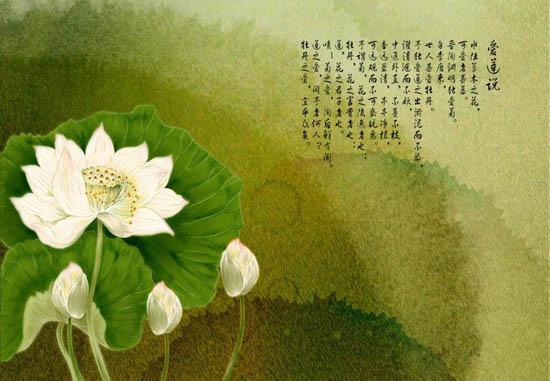 禅解《爱莲说》:莲花是因也是果