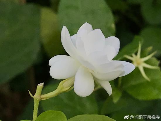道伟法师:自在的生活