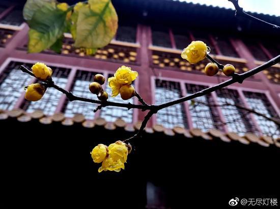 如何避免总观他人短处?(摄影:惜缘法师)