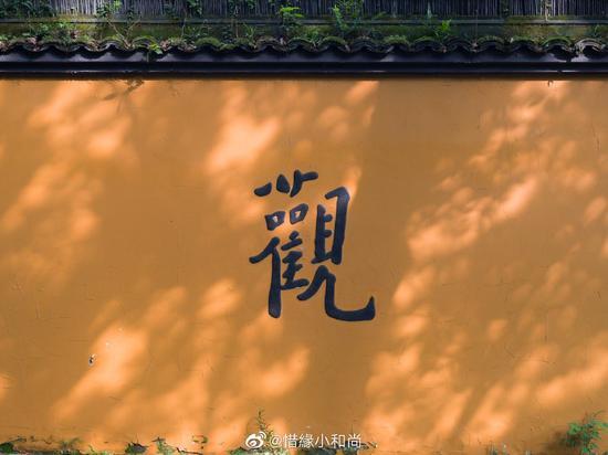 有了信仰之后,懂得了暇满人身的可贵;懂得诸行无常、诸法无我。(摄影:@惜缘小和尚)
