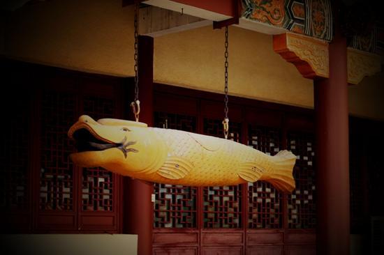 佛教以慈悲为怀(图:龙泉论坛 作者:xianye)