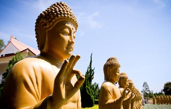 物有生住异灭,人有生老病死,这是天地万物运转的常道