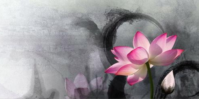 佛法的最高境界是什么