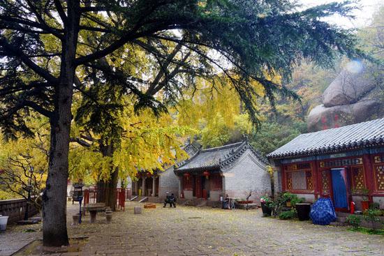 禅诗赏析:空山不见人,但闻人语响