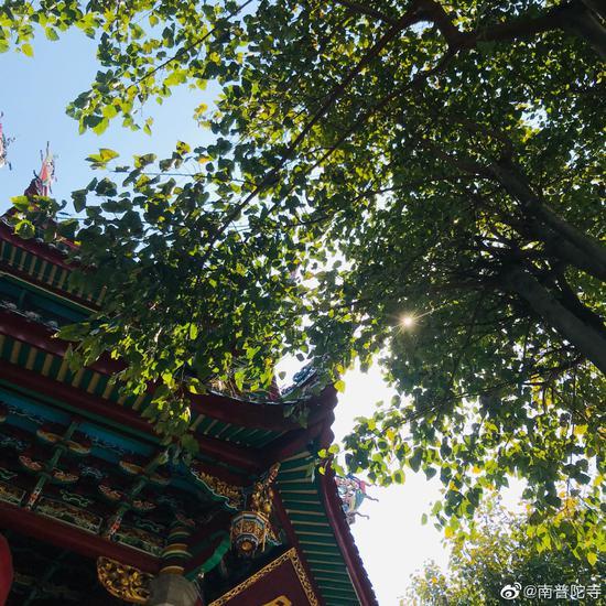 世间万事,必须依理智辨别正邪,盲目的信仰,都会走火入魔。(图片来源:南普陀寺)