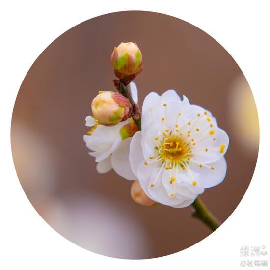 富贵从布施中来,但其果报错综复杂。(摄影:海朝)